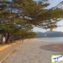 오리정민박 이미지