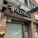 강아지 멋내기 이미지
