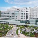 숲속의 아일랜드유치원 이미지