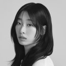 다인컴퍼니 스타뉴스
