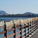 요나하우스 이미지