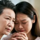 동탄현대서비스 주식회사 이미지