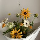 하유두인FLOWER 이미지