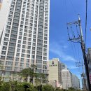 청솔초교 뒤 이미지