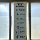 제주도 동쪽 코스 액티비티 놀거리 추천 짚라인 제주라프 라플라이 체험 투어패스 가능