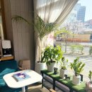 안경진정성 도화점 이미지