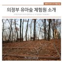 오목문화 유아숲체험원 이미지