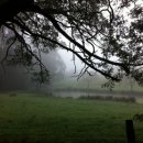 연못 속 풍경 이미지