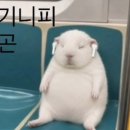 스치는 머리칼도 벌레일까 두려워하는 계절