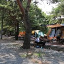 청천화양동관광농원  초롱이 캠핑장 | [충청북도 괴산군] 청천 화양동관광농원 초롱이캠핑장