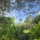 야자수정원 | [제주도카페 중문별장]웅장한 정원을 소유한 회장님 별장 방문기