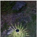 로뎀펜션하우스 이미지