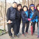 춘옥 Daum카페