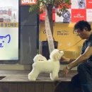 워킹포드림 이미지