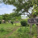 노천농장 이미지