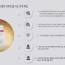 쌍디에 이미지