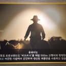 육백보물 이미지