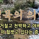 꽃 - 화해 이미지