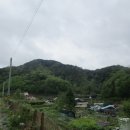 내서읍358 이미지