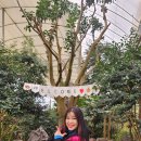 서울댄스스포츠학원 이미지