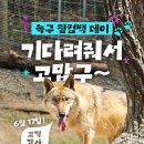 맘껏