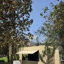 엘리의 정원 | 치앙마이 몬쨈 택시투어 1탄 싸이프레스레인 / 엘리핀팜 / 몬쨈