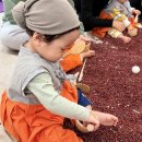 천하무적 태권도 | 양주 이마트 문화센터 &#34;오감자연놀이 반짝반짝 똘망이&#34; 내돈내산 솔직후기 (송혜림강사님)