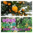 승광농장 이미지