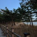 쉼송지호 이미지