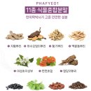 탈모관리 맥주효모 추천 여진주바이오 YEO블랙모환 후기