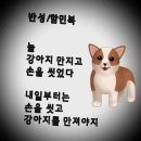 타코야만 이미지