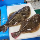 동진 수족관 이미지