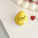 파티라슈 이미지