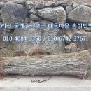 통나무민박3 이미지