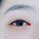 연 아이래쉬 네이버블로그