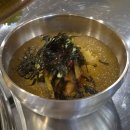 진안동 고기집 '서경숯불막창' | 막창집에서 소갈빗살 먹은 솔직 후기