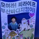 [2024 졸업여행] 부산 아쿠아리움🐠🐟🐡🦈 이미지