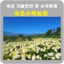 수목농원 - 삼척시 하장길 75 | 속초 가볼만한곳 영랑호 속초수목농원 유럽수국명소 솔직기록 7.27