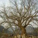 한반도민박 이미지