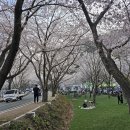 금곡사(외) 이미지