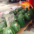 웅지와 나옹이 | 함평~광주 1박2일 투어, 첫날 함평 화랑식당 / 한옥펜션 웅지와나옹이 #1