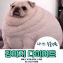 피카소동물병원 이미지