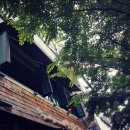 파스타델리지오 이미지