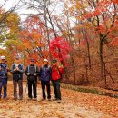 콩 노래연습장 이미지