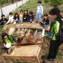 리틀키디 어린이집 이미지