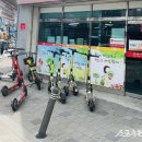 서구-10 스포츠동아