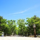 둔산로101번길 이미지