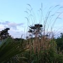 나미송머무는곳 민박 이미지