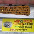 고은농장 | 청주 딸기 따기 수확 체험 농장 강반장 방문 후기