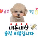 머그면 돼지 이미지